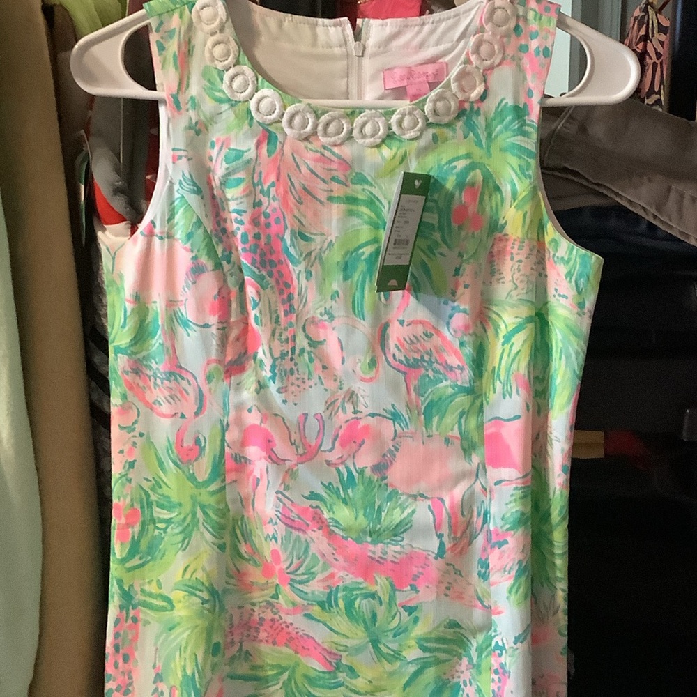 Lilly Pulitzer Floral Dress with Pink and Green On Parade Family‎ Match Preppy